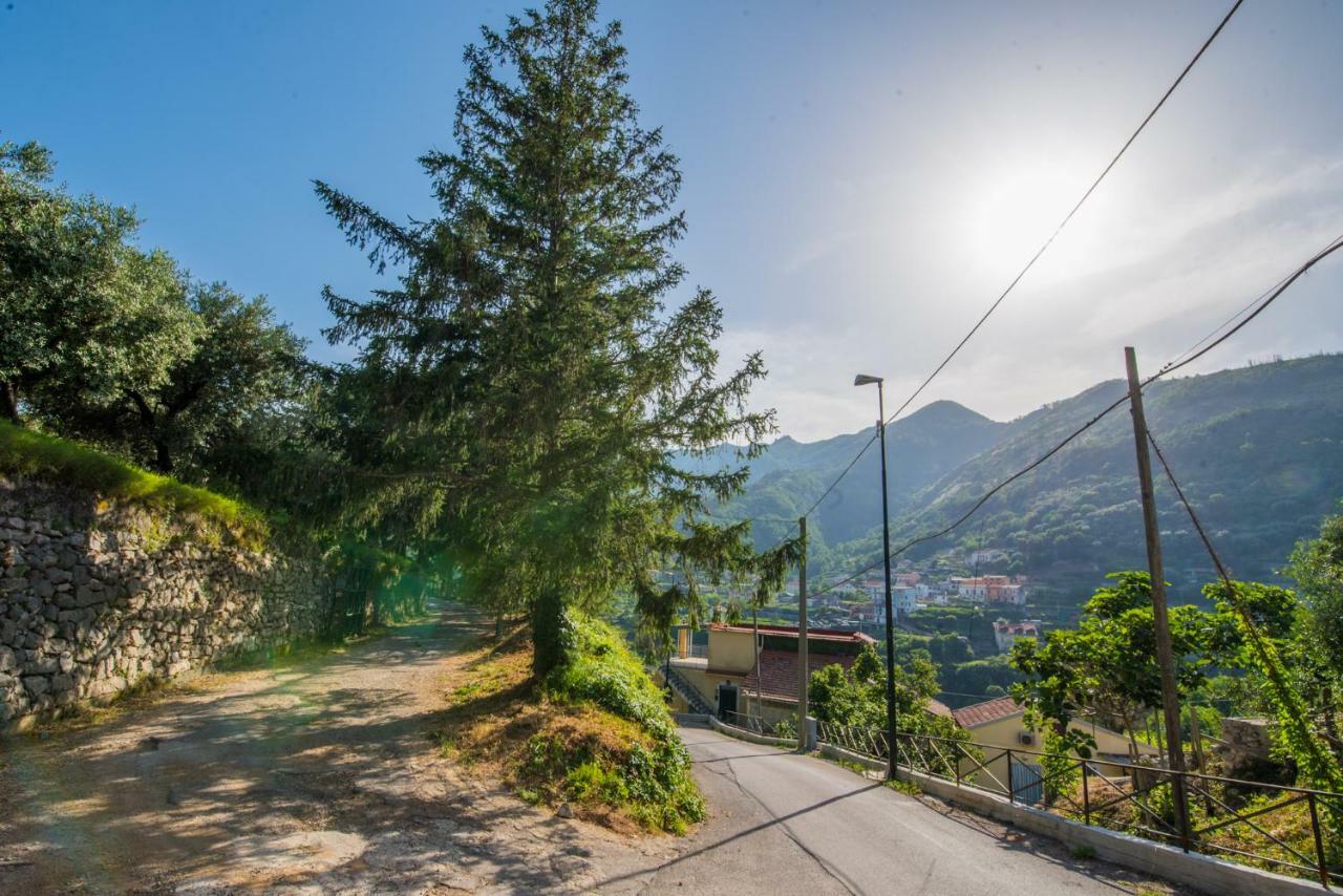 Belvedere Di Gloria ترامونتي المظهر الخارجي الصورة